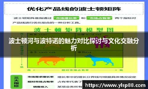波士顿河与波特诺的魅力对比探讨与文化交融分析